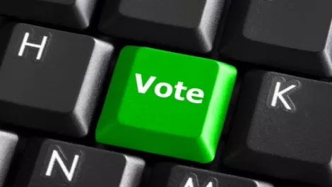 Govt: Online voting ticking the right boxes
