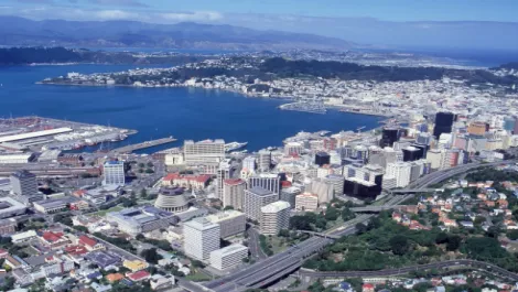 SilverStripe's silver lining for Wellington