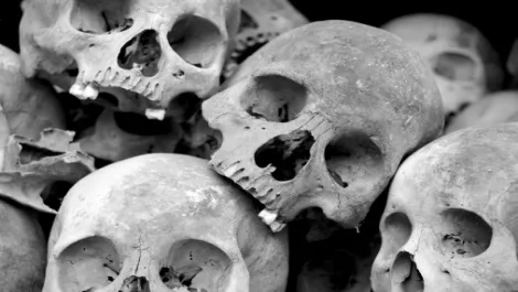 Megaupload suffers 'data massacre'