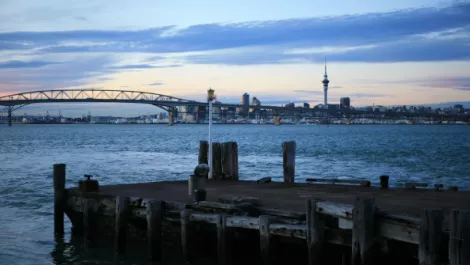 Want an IT bonus? Move to Auckland…