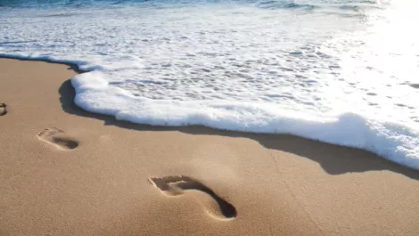 Auckland based EverEdge IP extends global footprint