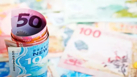 Boost for Kiwi business as PledgeMe bags equity crowdfunding licence