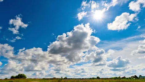 Cloud in the channel... a 'matter of life or death' for Kiwi resellers