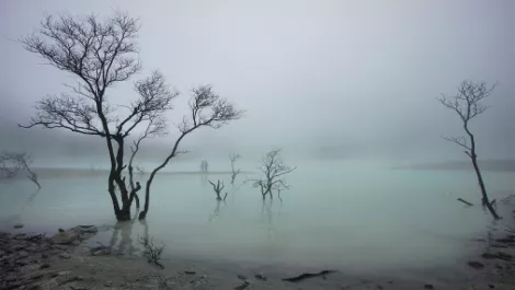 Gartner: Beware of the Data Lake Fallacy...