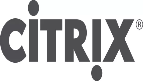 Citrix rgb