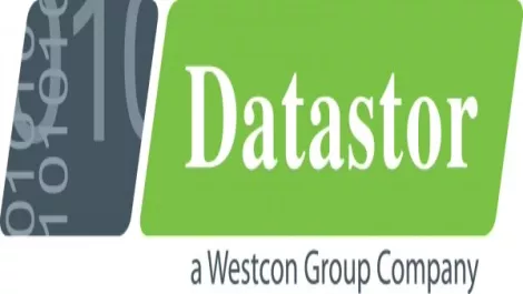 Datastor logo