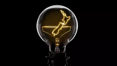 Nzbulb