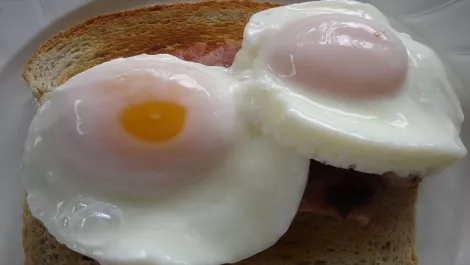Poached eggs