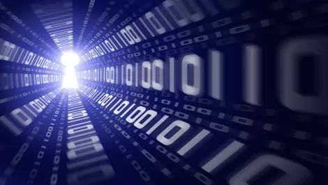 Security: From hunted to hunter