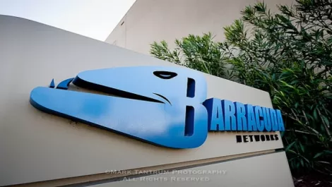 Barracudafoto3