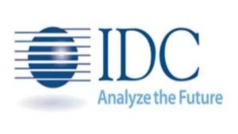 IDC: Servers here for immediate future