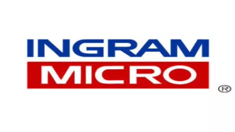 Ingram NZ profits down, cash dries up