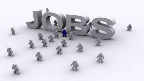 Job search 1