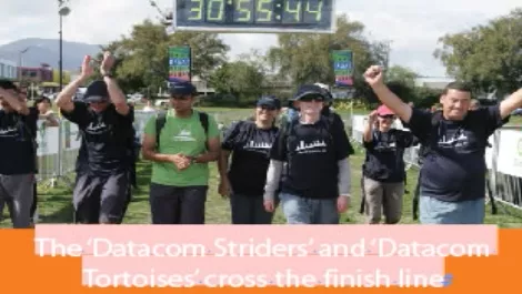 Run, Datacom, run