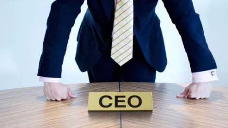 ViFX appoints first CEO in growth drive