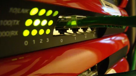 Kiwi business boost as WatchGuard's IT security rules the roost...