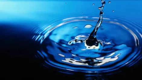 Company linked to Orcon part-owner avoids liquidation