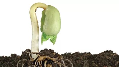 Root cause analysis