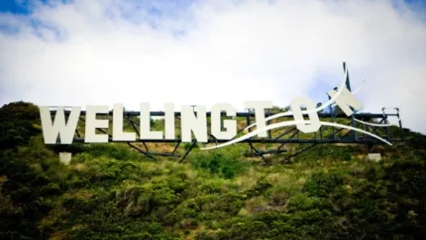 Windy wellington sign