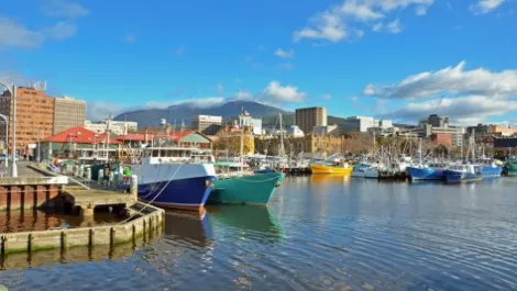 iiNet wins big with Tasmanian Government deal