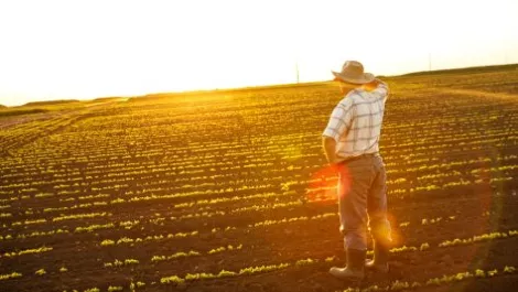 Wireless Nation to promote wellbeing for rural Kiwis
