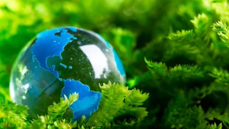 Tech industry invests in sustainability, looks at creating a healthy future