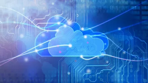 NZ first as Softsource signs on as Microsoft partner