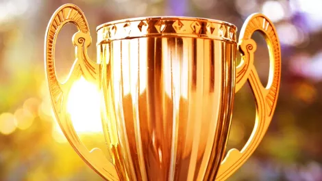 Presence of IT adds two more SAP trophies to haul