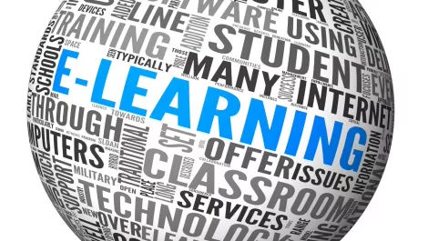 Govt needs to look at online learning for skills shortage, says expert