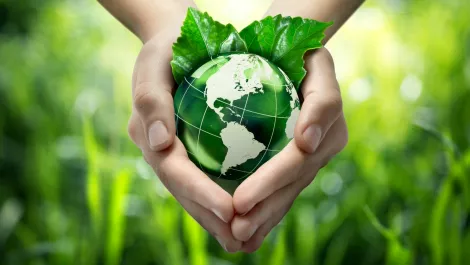 HP goes green; moves towards 100% renewable energy