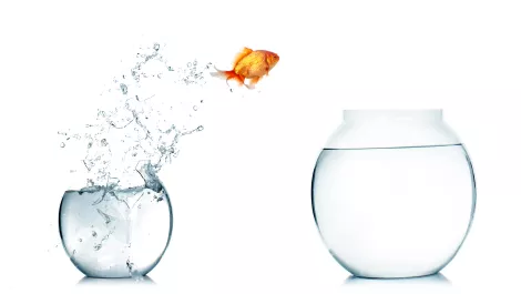 Thinkstockphotos 498945400