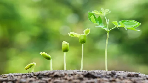 Thinkstockphotos 482564188