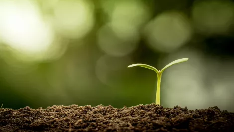 Inspur is the fastest growing server vendor in the world, says Gartner