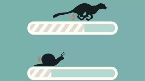 Cheetah vs snail