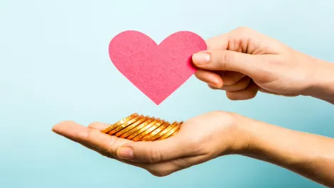 The momentum of equity crowdfunding in NZ