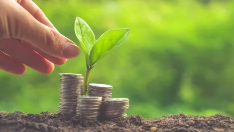 Thinkstockphotos 490080876