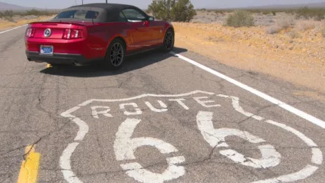Wild horses and Route 66 on offer as Dicker Data NZ launches Lenovo agency