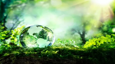 Thinkstockphotos 473454180