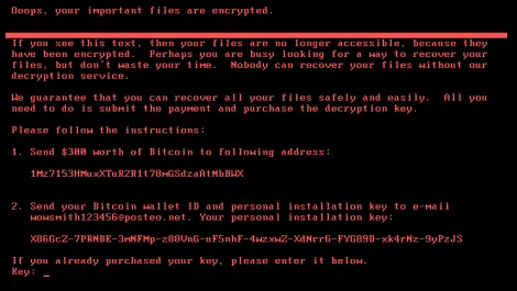 20170627 petya 7
