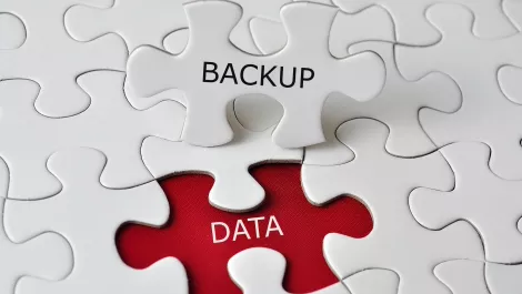 Backup data