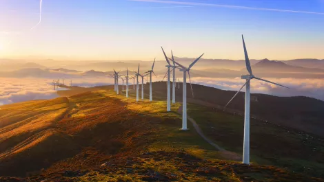 The government steps up: New Zealand emissions targets may become legally binding