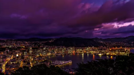 Wellington innovation challenge pushes Kiwis to solve NZ's carbon crisis
