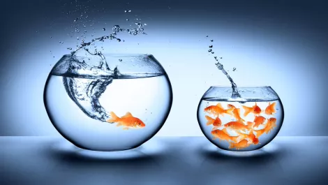 Thinkstockphotos 479206925
