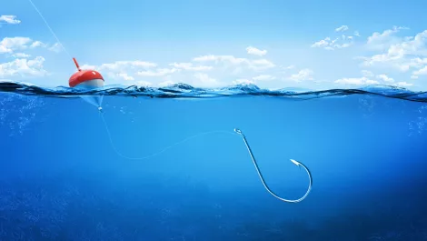Plenty more phish in the sea: 1.4 million of them each month, says Webroot