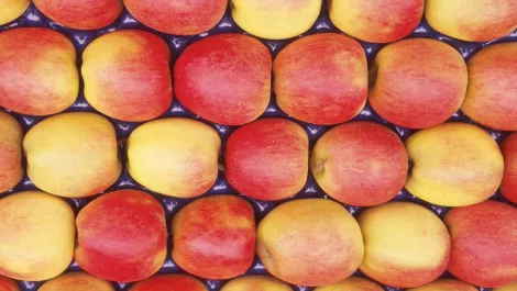 Thinkstockphotos 122506501