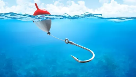 How to ensure your organisation doesn't get hooked by phishing scams