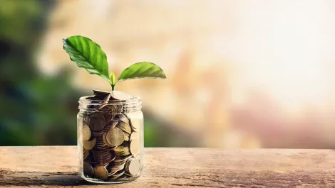 Fund