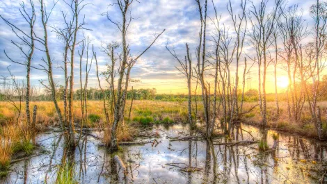 How to avoid your data lake becoming a data 'swamp'
