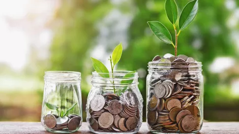 NZ's early stage tech companies bolstered by rising investments - report