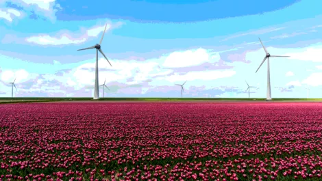 Screen shot 2018 06 04 at 10